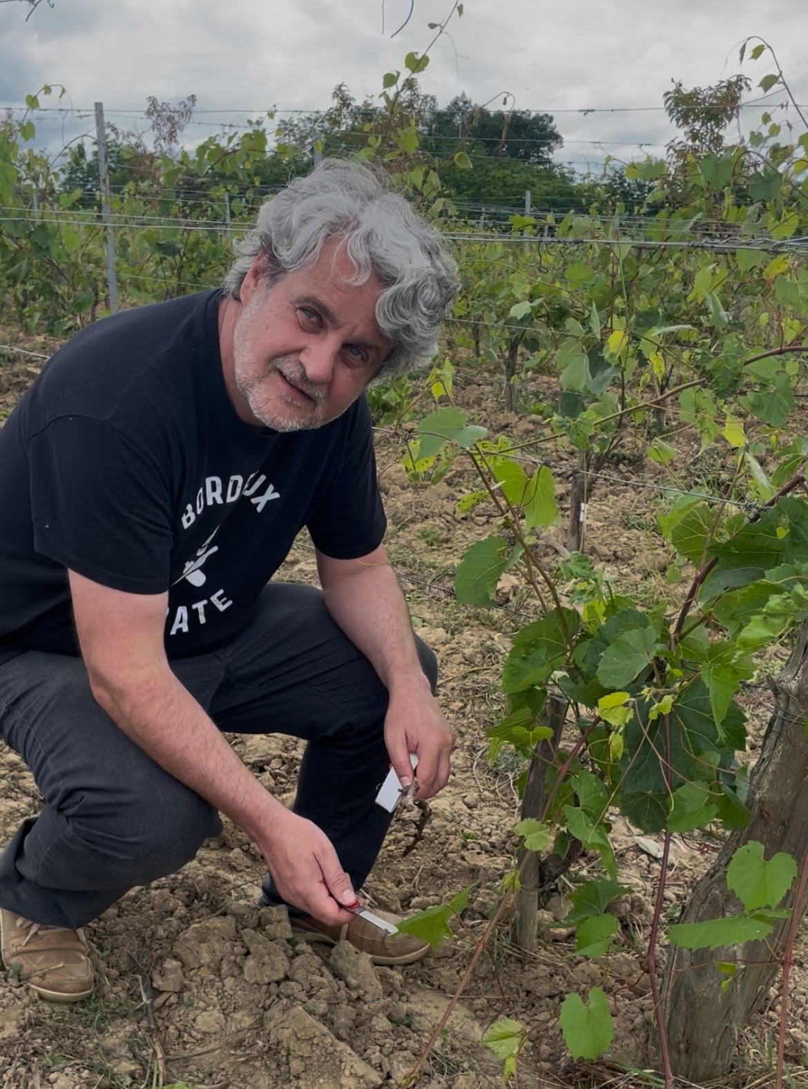 Jean-Baptiste dans les vignes, t-shirt Bordeaux Pirate