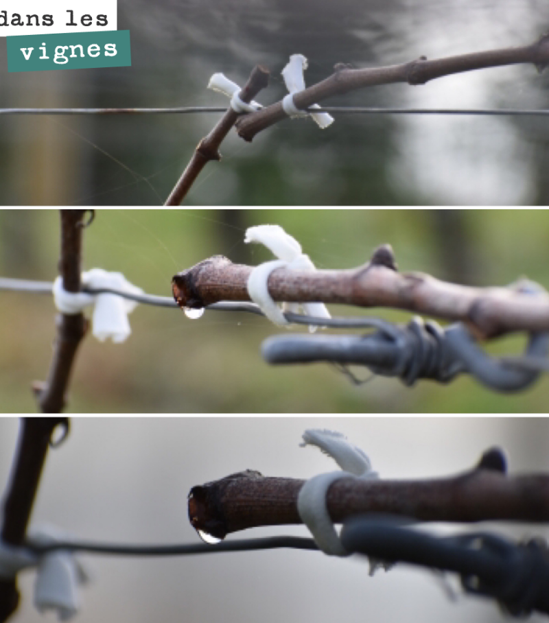 On attache peu à peu les bois en faisant bien attention de ne pas les casser. Très fragile les bois en cette saison.