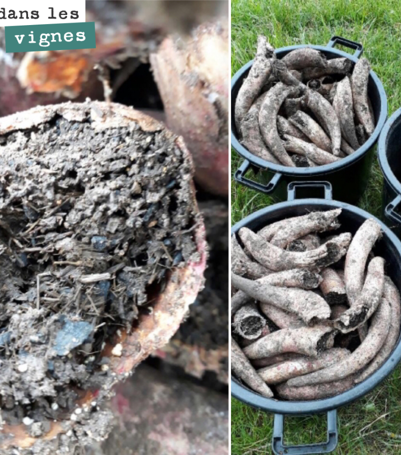 La semaine dernière, nous avons déterré les cornes de bouse que nous avions réalisées avant l’hiver avec nos amis vignerons de l’association Dynamis.
Nous voilà, avec un stock suffisant pour passer...