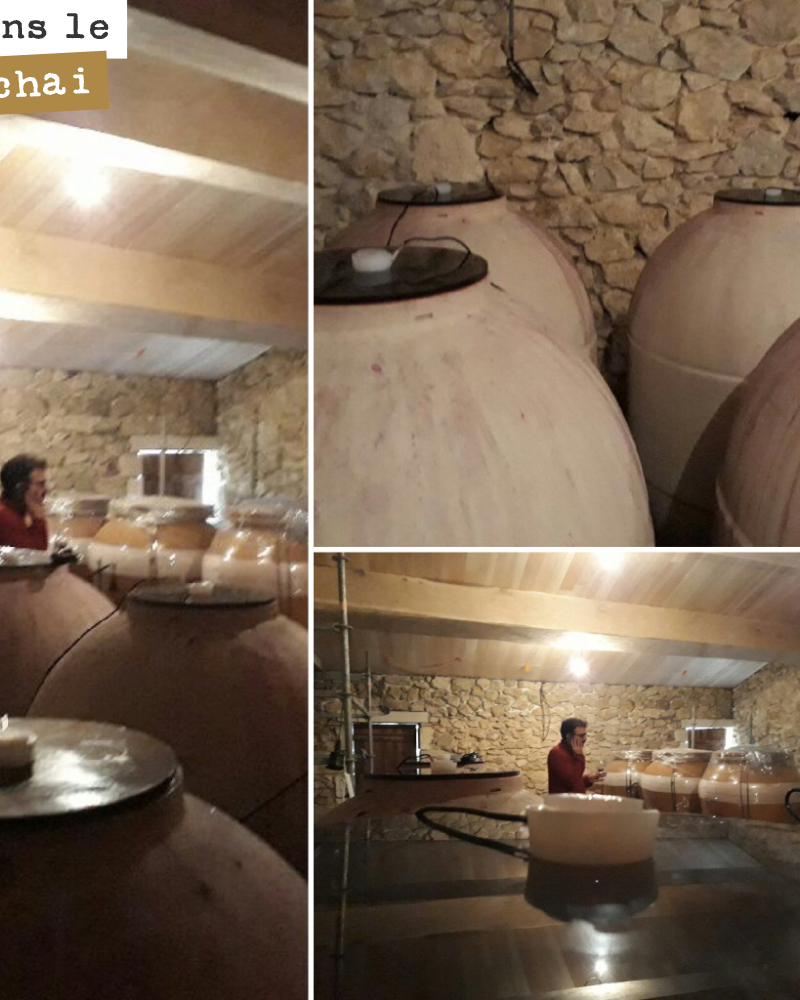 On est retourné déguster le millésime 2018 de Liber Pater, pour voir ce que cela donne, une fois les fermentations terminées.
Les cabernet-sauvignons sont impressionnants, du pur velours. Les peti...