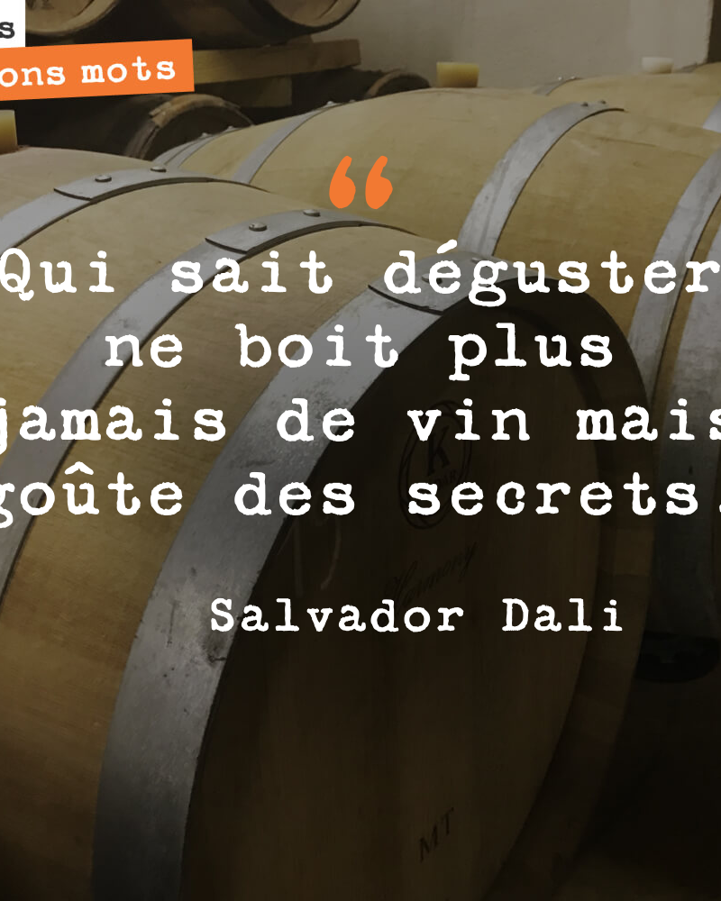 Qui sait déguster ne boit plus jamais de vin mais goûte des secrets.