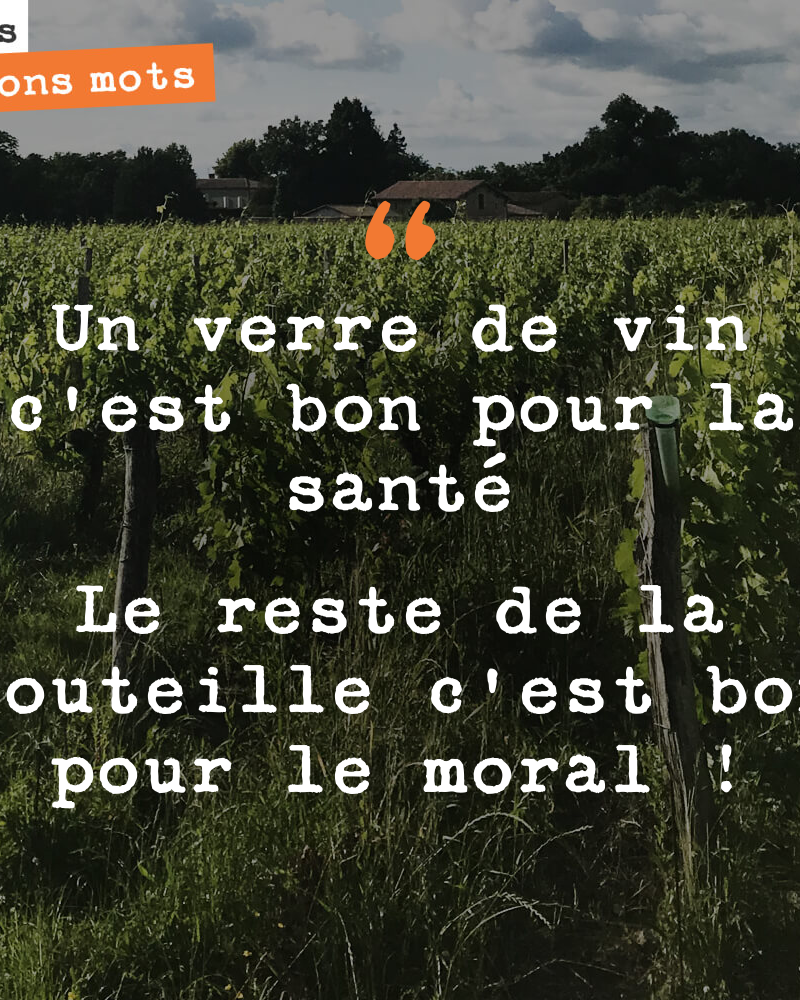 Un verre de vin c'est bon pour la santé Le reste de la bouteille c'est bon pour le moral !