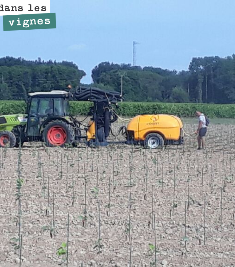 On arrose les plantations, pied par pied. Si on n’arrose pas, on perdra tout avec les chaleurs annoncées en début de semaine. Cela en fait des pieds à arroser à raison de 6000 pieds par hectare. Et...
