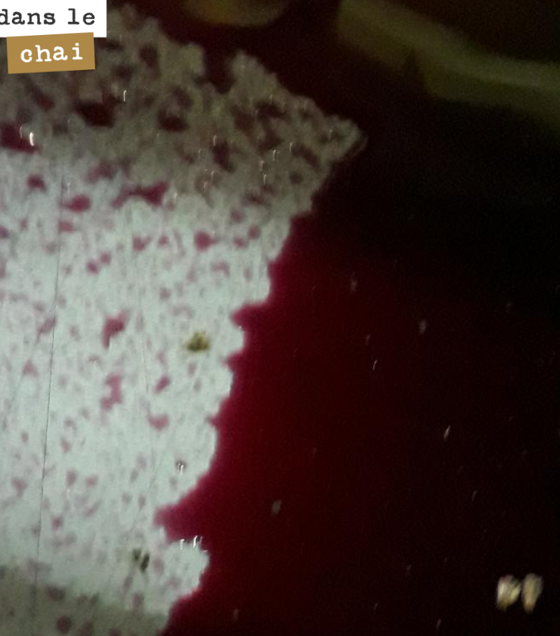 A qui profite le crime ?
On a écoulé et pressé aujourd’hui une cuve de merlot. La fermentation était terminée. Le temps est venu pour l’élevage.