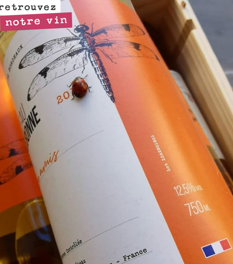 Une jolie coccinelle à la rencontre de la majestueuse libellule.
Merci 750g la table pour la photo !