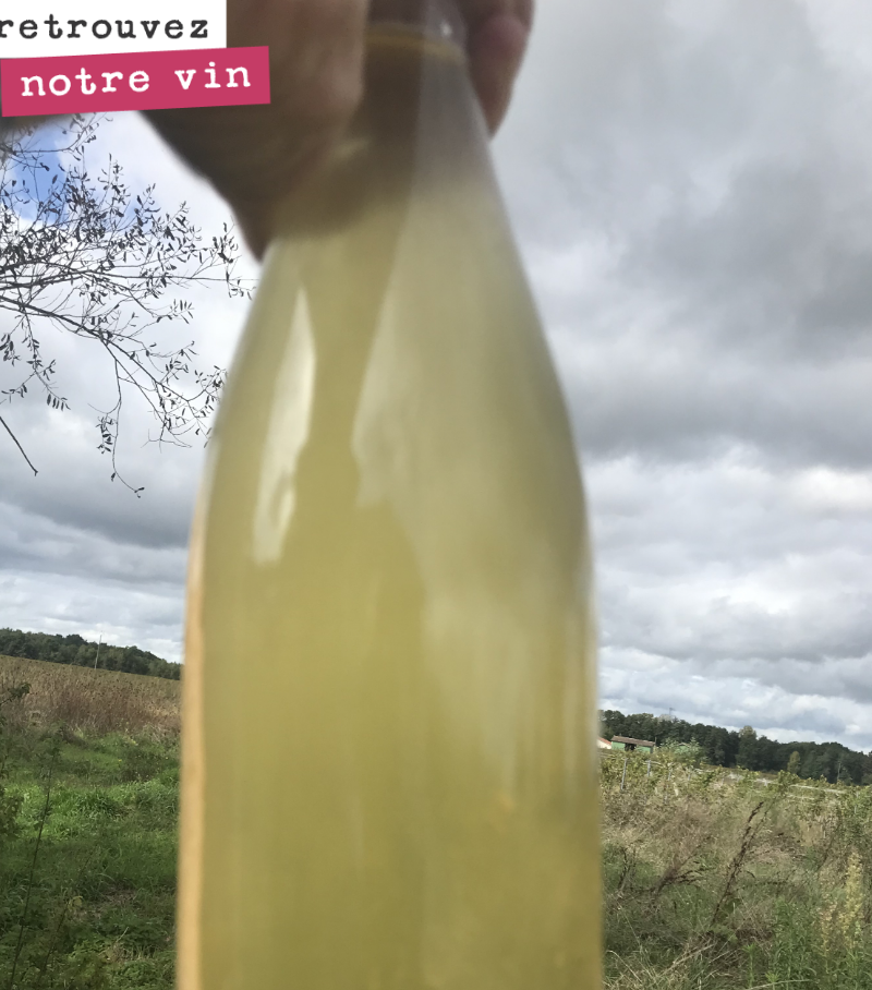 Il commence à avoir une jolie couleur, notre petnat ! Et on a goûté, et c’est vraiment délicieux. Croquant de fruit, jolie fraîcheur, pour un assemblage moitié sauvignon, moitié sémillon, avec moit...