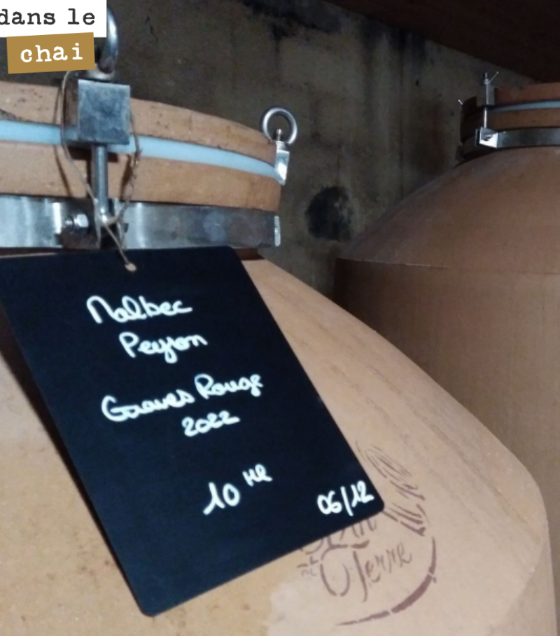 Nous avions produit en 2019 une magnifique Malbec.
Nous avions fait l’impasse sur les millésimes 2020 (faible récolte) et 2021 (gel).
La récolte 2022 est prometteuse et on espère bien pouvoir vou...