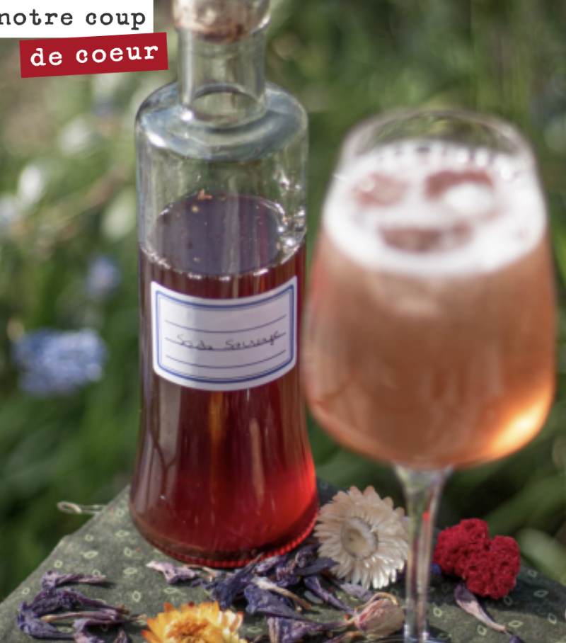 Le petnat sauvage, vous connaissez ?
C’est un cocktail créé par mon frère Chef Damien.
Il le réalise avec notre Petnat Gaz’bonne avec un sirop de soda sauvage, à base de plantes cueillies en Auver...