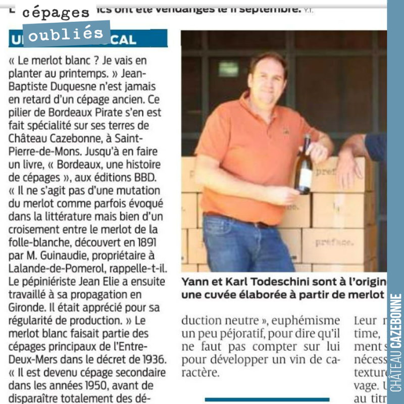 Et si le Merlot blanc revenait sur le devant de la scène ?
Article paru dans Sud-Ouest ce jour, à l’occasion de la mise en marche d’une cuvée de Merlot blanc par les frères Todeschini.
Nous prévoy...