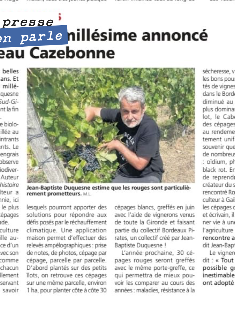 Sympathique article dans le républicain sur le millésime 2026 et présentation de notre conservatoire des cépages d’autrefois qui disposera des l’année prochaine de plus de 70 cépages historiques.