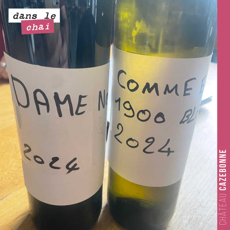 Dégustation du nouveau millésime.