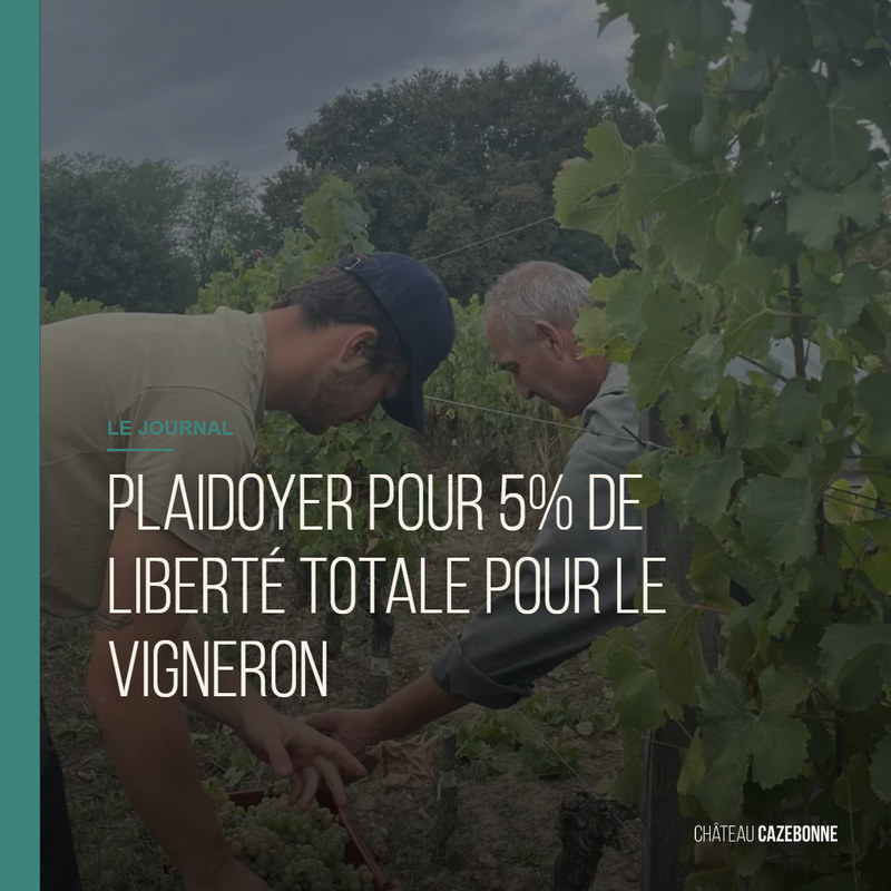 Plaidoyer pour 5% de liberté totale pour le vigneron