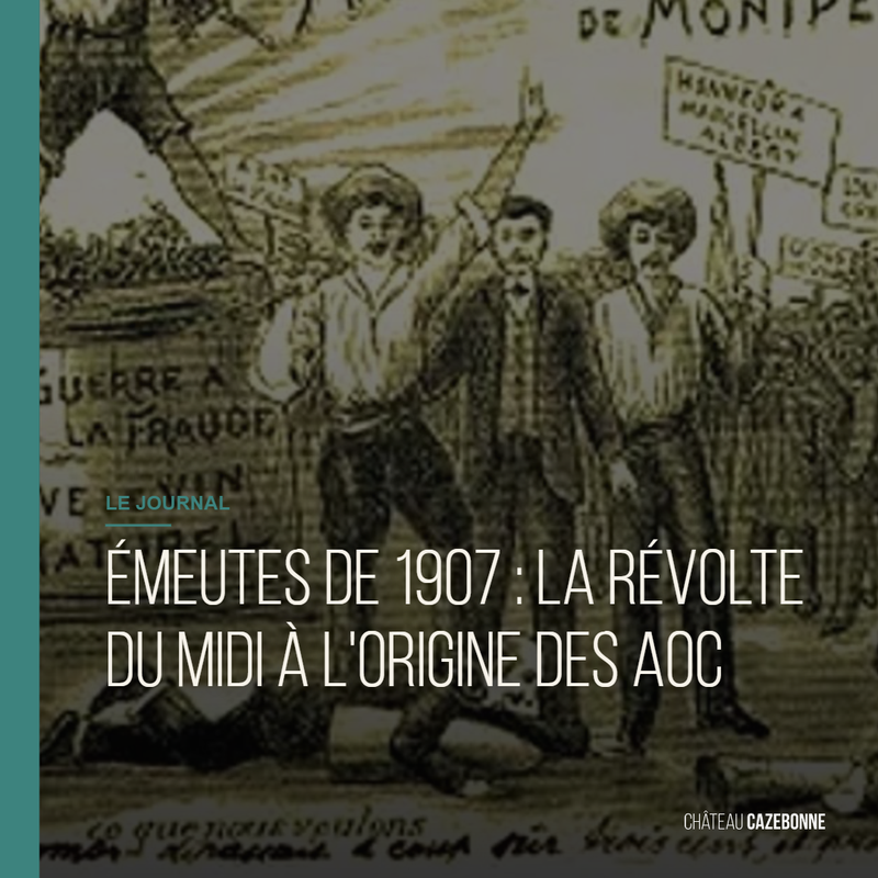 Les émeutes de 1907 à l'origine des AOC