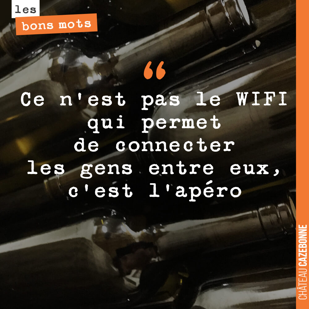 Tellement vrai ! Vous êtes plus WIFI ou plus apéro ?