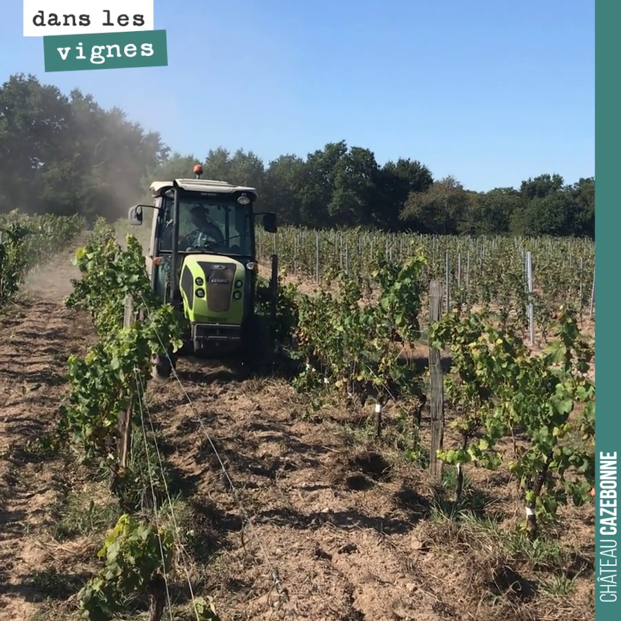 Gérer l'enherbement dans la vigne