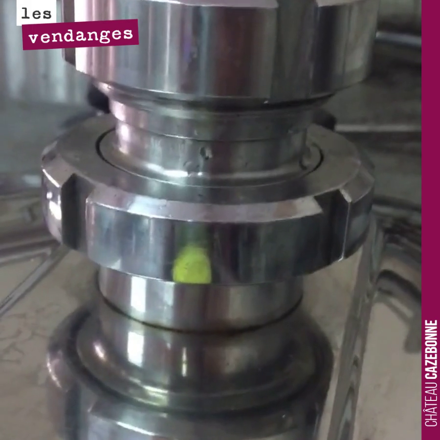 La fermentation alcoolique