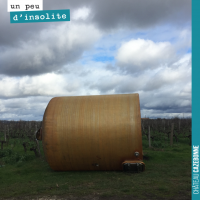 Le vent dans les vignes