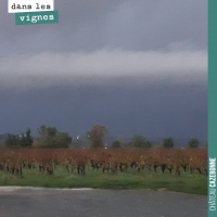 Tout savoir sur la vigne