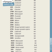 Les cépages oubliés de Bordeaux