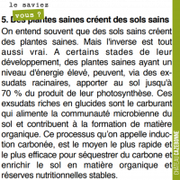 Avoir des sols vivants