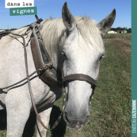 Le cheval dans les vignes