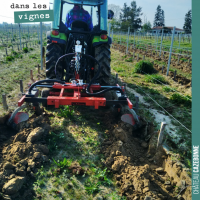 Décavaillonner la vigne