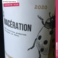 Le vin orange ou vin de macération