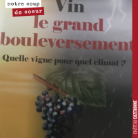 Lectures autour du vin