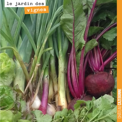 Cela fait plaisir de voir cette belle récolte de légumes issue du Jardin des vignes, pour un proj...