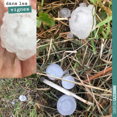 Notre amie Stéphanie Roussel, vient de nous envoyer ces photos. Elle a été sévèrement touchée par...