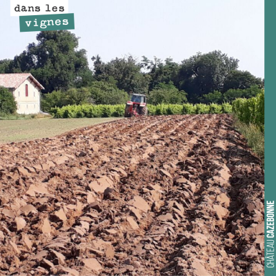 On prépare les sols pour préparer la plantation de nos cépages anciens. Ici sur la parcelle de Co...