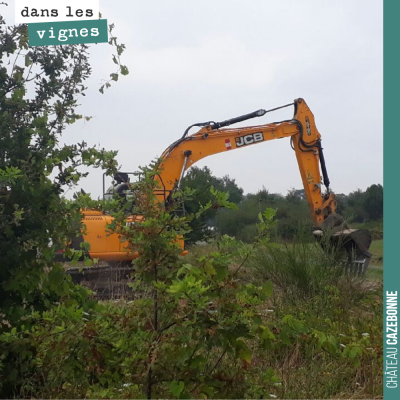 On nettoie et arrache les pieds de vigne sur une parcelle qui était en friche sur notre plateau d...