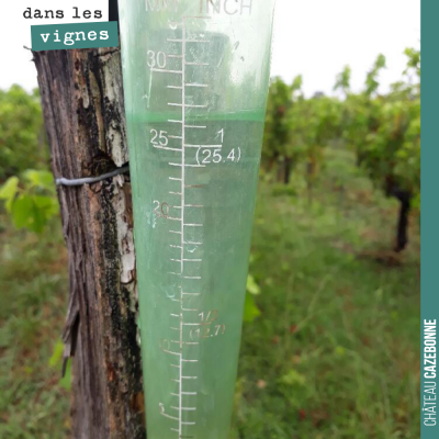 Il est tombé 27 mm de pluie cette nuit. On va pouvoir souffler pour l'arrosage des jeunes plantes...