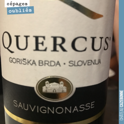 La sauvignonasse est un cépage historique de Bordeaux. Elle portait aussi le nom de Sauvignon ver...