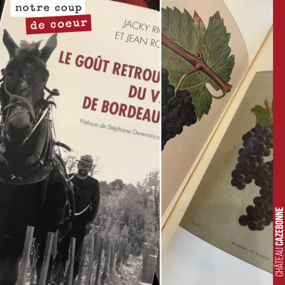 Depuis quelques jours, ce livre alimente le débat dans la communauté des passionnés de vin. Les p...