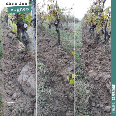 On a commencé à chausser la vigne pour l'hiver. On protège ainsi le cep et au printemps en déchau...