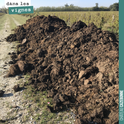 On va étendre cette année 200 tonnes de composts et fumiers sur nos vignes qui manquent encore de...