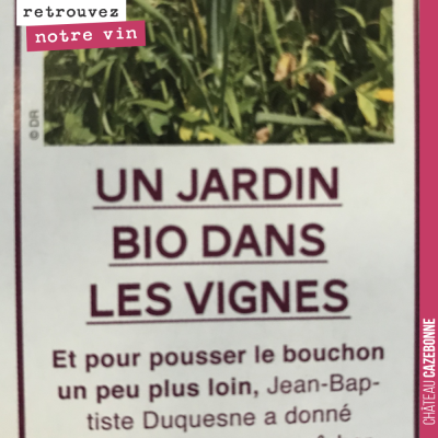 Cela fait toujours plaisir de retrouver un article sur notre jardin dans les vignes. Merci Emilie...