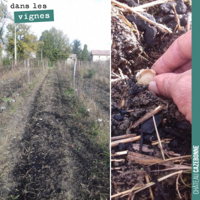 Francis repart sur la deuxième saison du jardin des vignes. Il a planté hier de l'ail dans les ra...