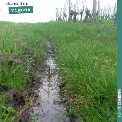 2018 aura été l'année de la pluie. Une année qui a battu tous les records de pluviométrie : on va...