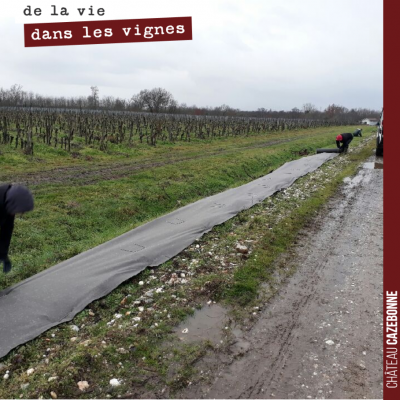 On a décidé de remettre des haies à Cazebonne, pour développer la biodiversité, pour que les oise...