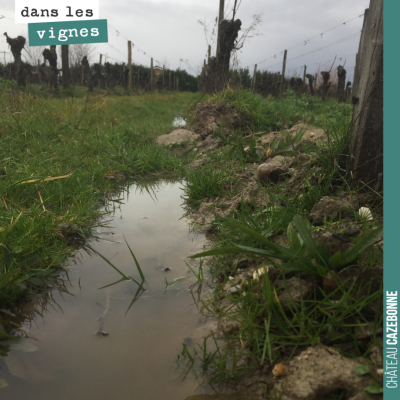 De l'eau, de l'eau, toujours de l'eau... Depuis 15 mois, on bat tous les records de pluviométrie ...