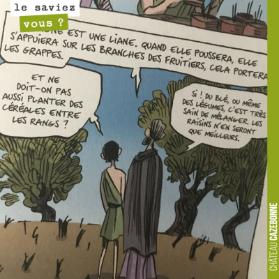 C'est Pline l'ancien, au 1er siècle après JC, qui le dit... Semer des céréales dans les rangs de ...