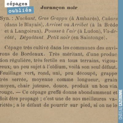 Tous les jours, présentation d'un cépage oublié. Nous avons planté du Jurançon noir, qui portait ...