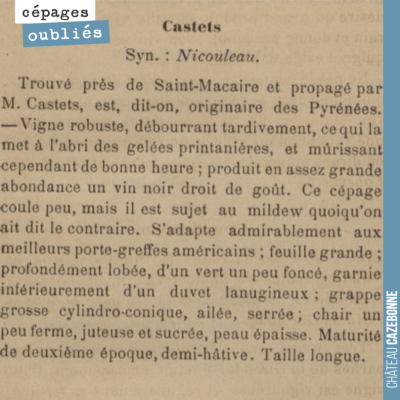 Tous les jours, nous allons vous présenter un cépage oublié de Bordeaux. Nous croyons beaucoup à ...