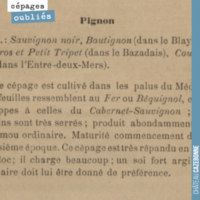 Pas toujours simple de s'y trouver dans la synonymie des cépages. Il est vraisemblable que le Pig...