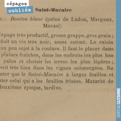 On adore le Saint-Macaire que l'on a eu le loisir d'aller déguster chez Liber Pater, au nez des n...