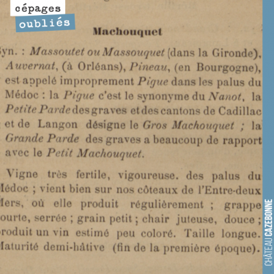 Encore un cépage difficile à retrouver aujourd'hui. S'agit-il d'un parent de la pardotte ? Mystèr...