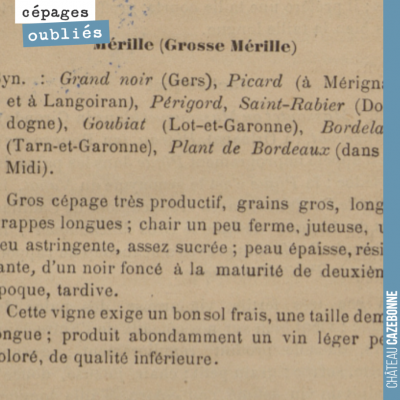 La mérille était très présente de par chez nous, à Saint-Pierre de Mons. Cela nous adonné en vie ...