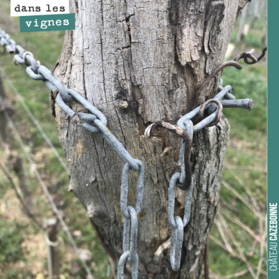 Astucieux système pour retendre les fils observés dans les vignes de Christine Dupuy à Madiran. O...